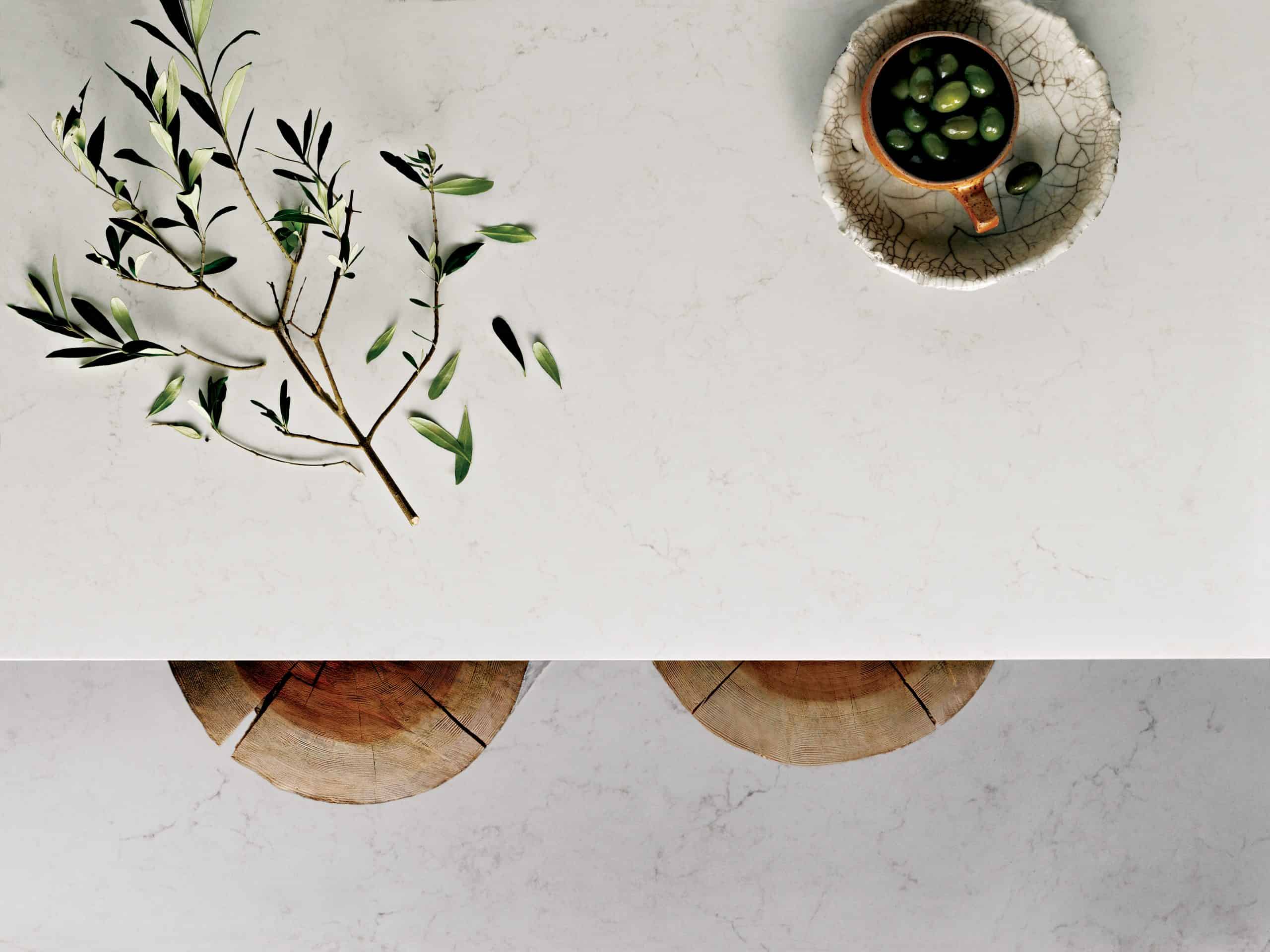 5141_frosty_carrina_olives