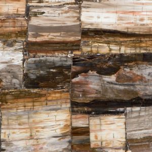 PETRIFIED WOOD CLASSIC 8331