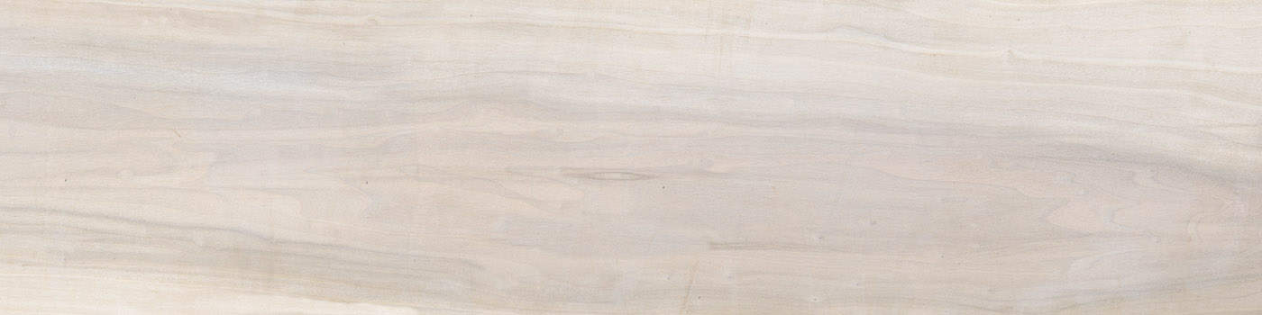 553M0R White Tulipier 30x120 @1