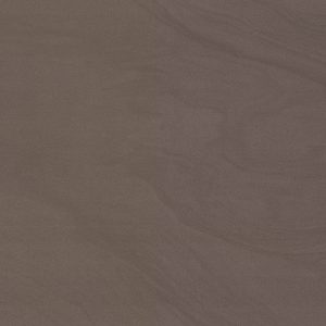 SANDS EXPERIENCE MUD POLISHED 60X120