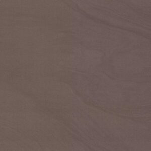 SANDS EXPERIENCE MUD POLISHED 60X120