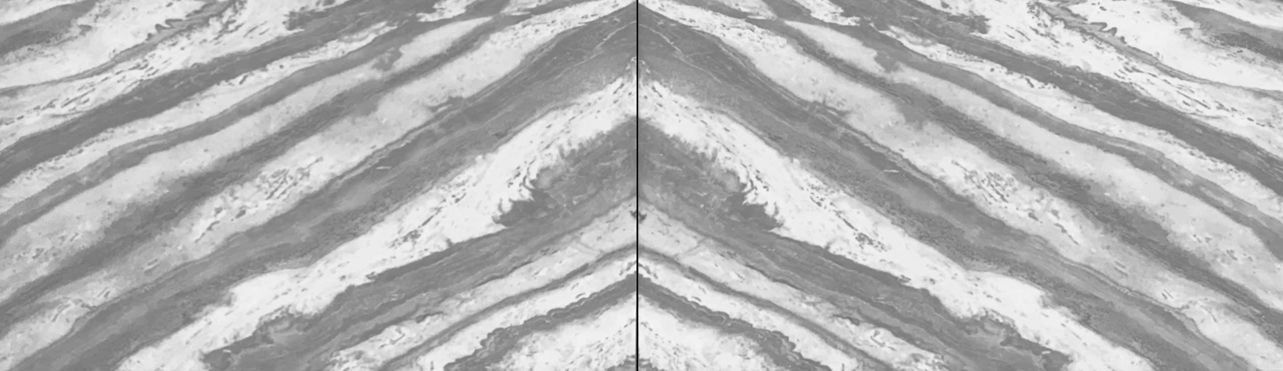 ZEBRIANO BOOKMATCH N