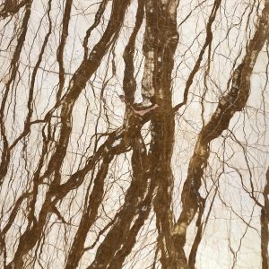 NATURAL MARBLE CORAL REEF