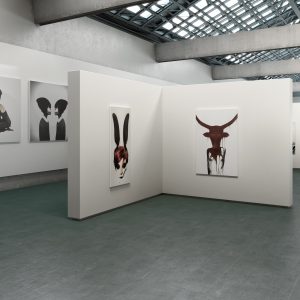 JUST CEMENTI DARK GREY NATURALE 75X150