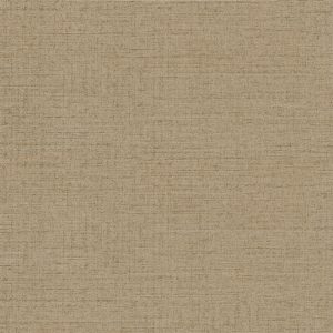 JENY ART BEIGE NATURALE 60X60