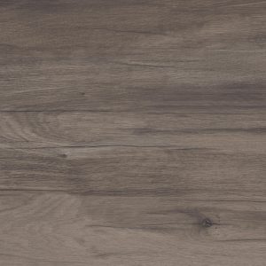 DOLPHIN COAL NATURALE 20X120