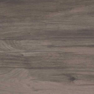 DOLPHIN COAL NATURALE 20X120
