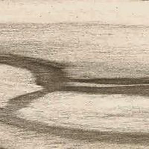 EPIC CAMEL NATURALE 20X100