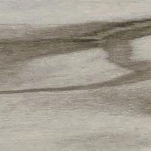 EPIC TAUPE NATURALE 20X100