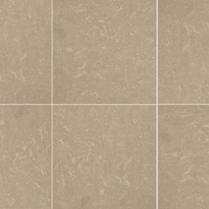 FANTASY POLISHED 40X40