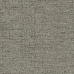 JENY ART GREY NATURALE 60X60
