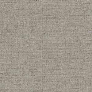JENY ART LIGHT GREY NATURALE 60X60