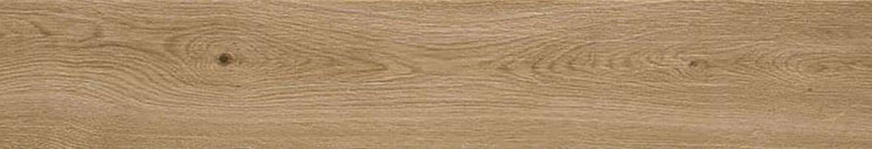 TREVERKFUSION NEUTRAL