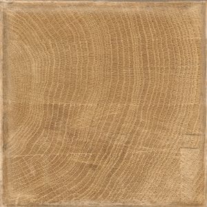 20TWENTY TRONCO SQUARE NATURALE 20X20
