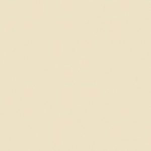 COLORUP BEIGE PLAIN POLISHED 32.5X97.7