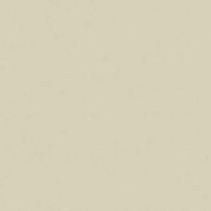 COLORUP GRIGIO PLAIN POLISHED 32.5X97.7