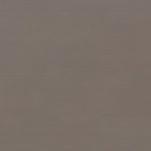 COLOURLINE BROWN POLISHED 22X66.2