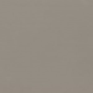 COLOURLINE TAUPE PLAIN POLISHED 22X66.2