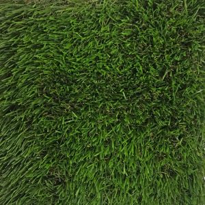 CCGRASS FINE PX2