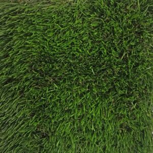 CCGRASS FINE PX2