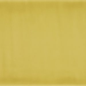 DOLCE AMARO GREEN LIME PLAIN POLISHED 25X60