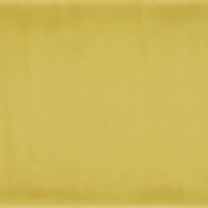 DOLCE AMARO GREEN LIME PLAIN POLISHED 25X60