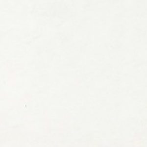 MARBLELINE THASSOS PLAIN POLISHED 22X66.2