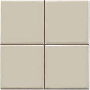 MATRIX ARENA POLISHED 20X20