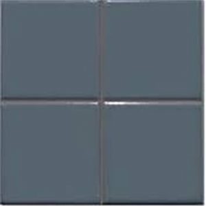 MATRIX INDIGO POLISHED 20X20