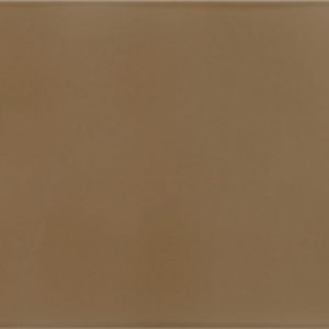 ONE OLIVA POLISHED 20X50