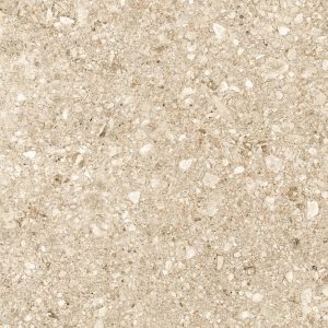 VENICE TERRAZZO BEIGE NATURALE 60X60