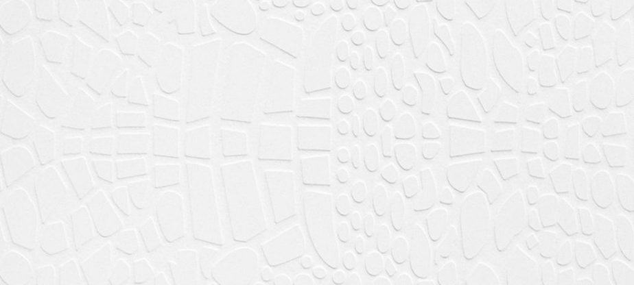 2141c-White-Crocodile_2400_1080-1024x461