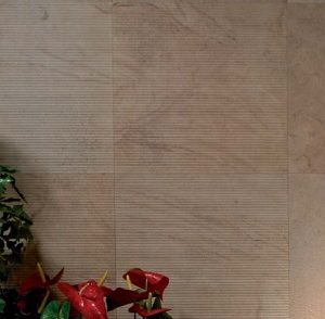 SIRA RAYAS ARENA MATE