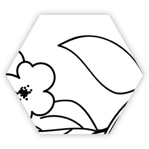 HEXAGONAL ZEN TANGLE NATURALE 26X30