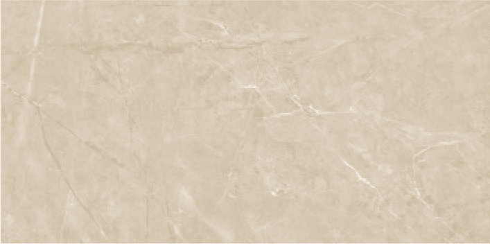 MARBLE ROYAL MARFIL SILK 60X120