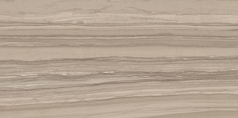 SILVER BROWN 60x120 - Copy