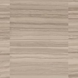SILVER BROWN NATURALE 60X120