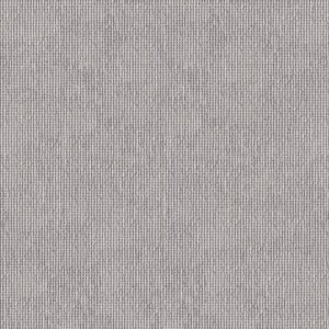 STONE CAPITAL LIGHT GREY NATURALE 60X120