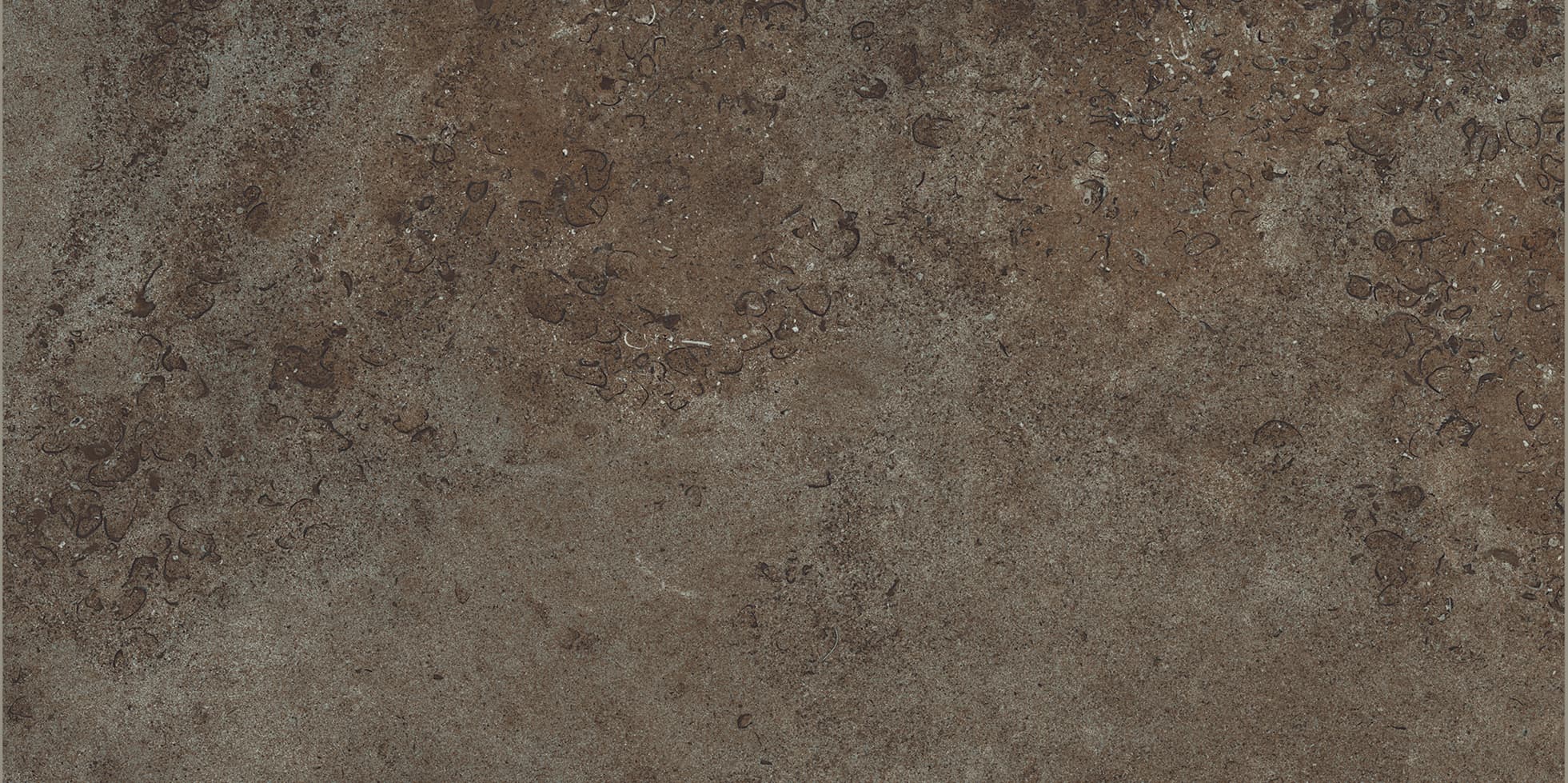 Limestone Brown 45x90