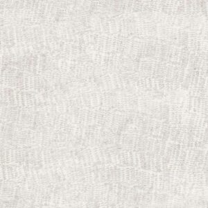 STONE CAPITAL WHITE NATURALE 60X120