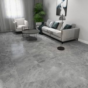 TENDER BARCELONA TUNDRA GREY NATURALE 60X120