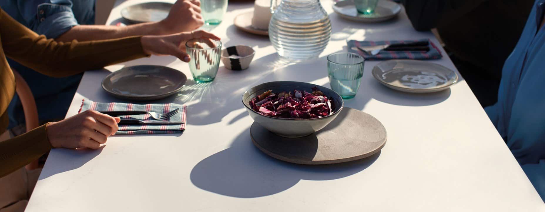 515_palm_shade_1_dps_1920x890px