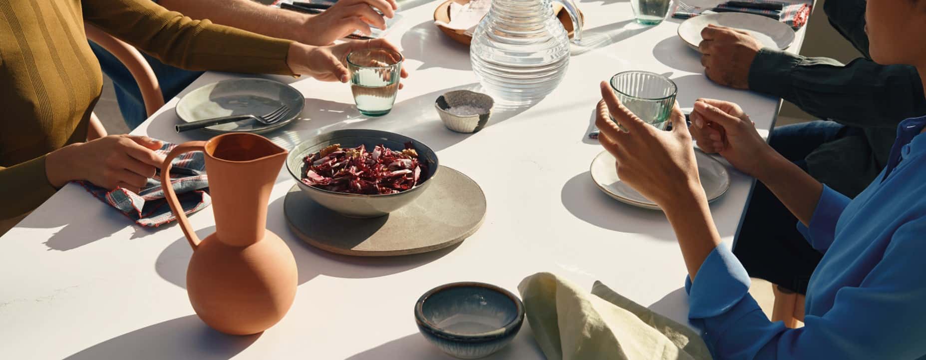 515_palm_shade_2_dps_1920x890px