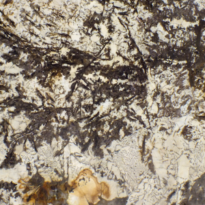 NATURAL MARBLE CENTAURUS S2