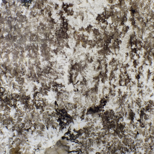 NATURAL MARBLE PANDA