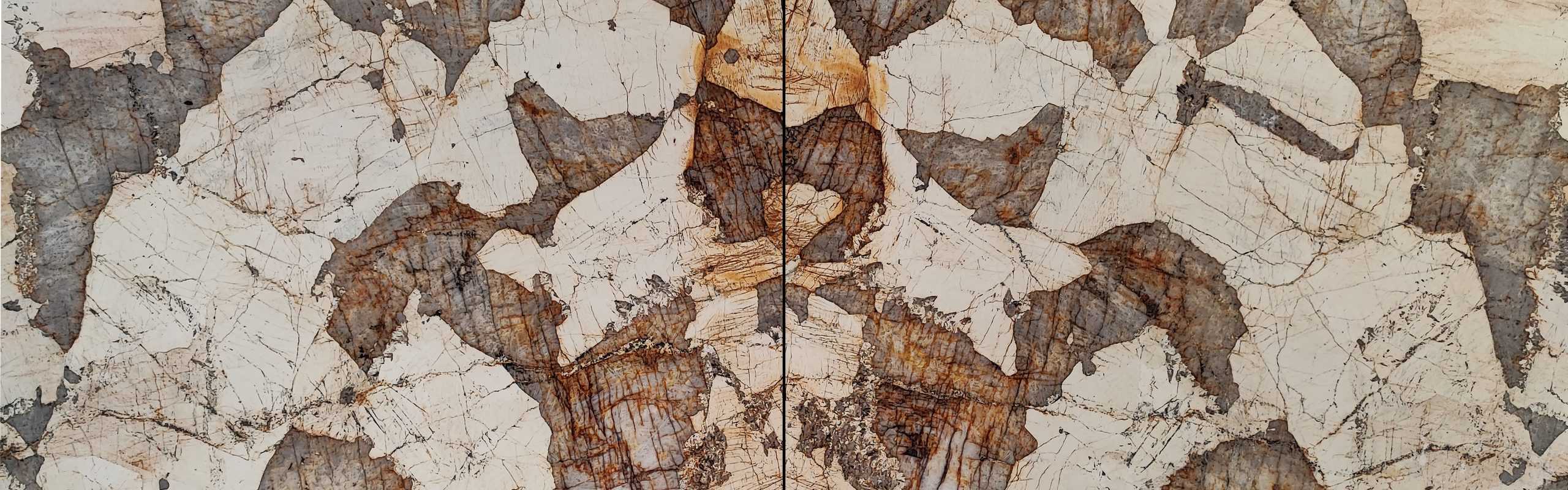 PATAGONIA S2 BM copy