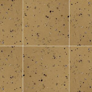 ALGOL POLISHED 30X30