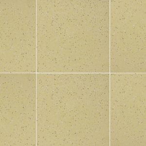 PICTOR NATURALE 30X30