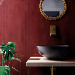 BRICK CASA BLANCA RED 5.8X24.2