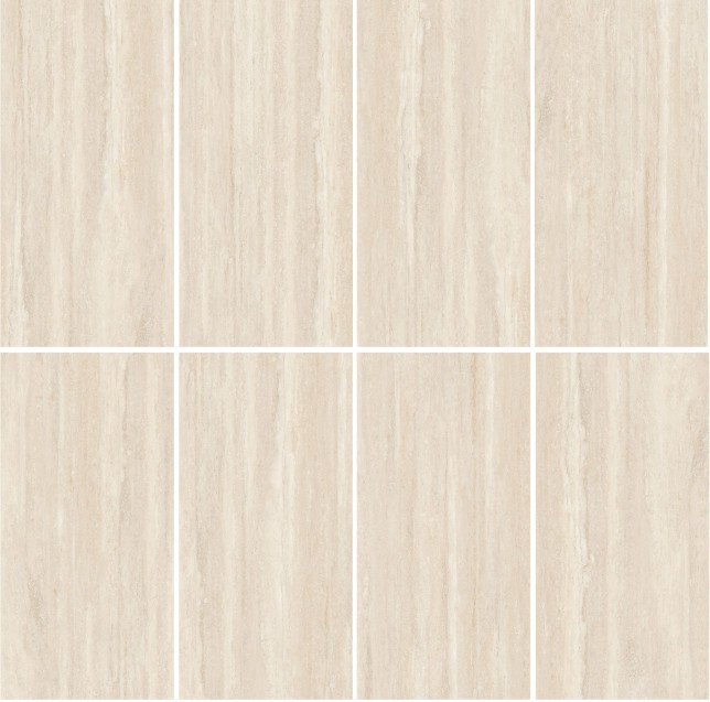 V-LIFE PRESENTATION MAY-2023